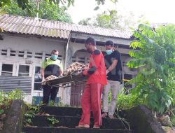 Ini Identitas Tunawisma Ditemukan Tewas di Rumah Kosong Tanjungpinang