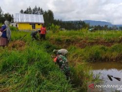 Bantu Tingkatkan Kesejahteraan Warga, Prajurit TNI AD Buat Kolam Ikan