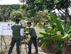 Duh! Vila Anggota DPRD Bintan Dipasang Plang oleh Polisi Kehutanan