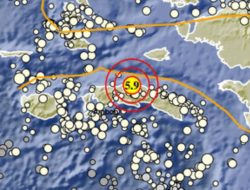 Gempa Magnitudo 5,9 Guncang Maluku Tengah
