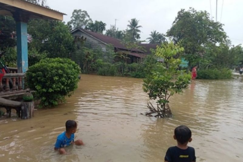 Banjir Rendam 692 Rumah Warga di Langkat