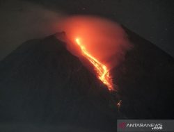 Selama Sepekan Gunung Merapi 110 Kali Luncurkan Lava