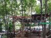 Panglima Bulang Suguhkan Tempat Nongkrong di Tengah Hutan Mangrove