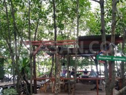 Panglima Bulang Suguhkan Tempat Nongkrong di Tengah Hutan Mangrove