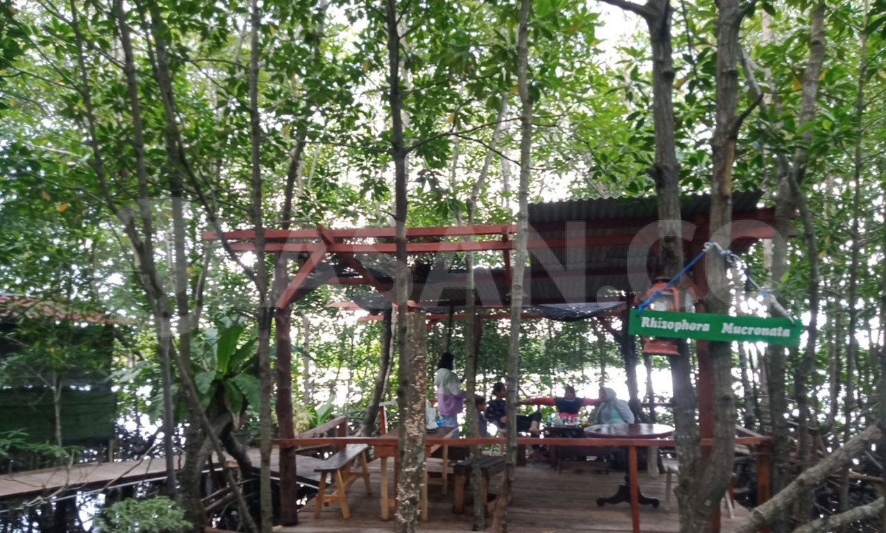 Panglima Bulang Suguhkan Tempat Nongkrong di Tengah Hutan Mangrove