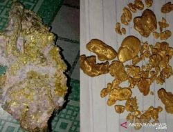 Wow, Warga Ini Temukan Bongkahan Emas di Aliran Sungai Are OKU Selatan