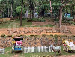 Taman Kelinci Wisata Murah dan Edukatif di Batam