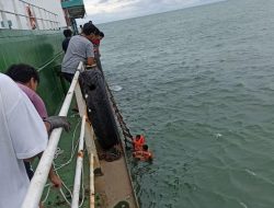 Kapal Dihantam Badai hingga Tenggelam, 5 ABK KLM Firman Jaya Diselamatkan Tanker Tirta Samudra XX