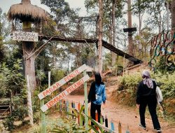 Wisata Unik Lembah Pelangi di Batam, Ada Rumah Tarzan Lho