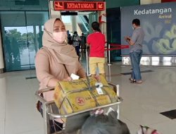 Kunjungan Penumpang di Bandara RHF Tanjungpinang Meningkat 20 Persen
