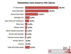 Survei Cagub DKI: Elektabilitas Anies Baswedan di Bawah Tri Rismaharini