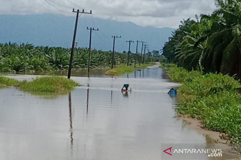 Jalan Tiku Lima Jorong Agam Banjir, Ribuan Warga Terisolir