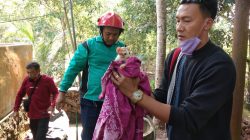 Tim Damkar Bintan Timur Evakuasi Seekor Kucing Jatuh ke Sumur Kedalaman 15 Meter