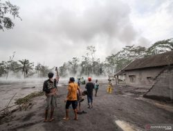 Data Sementara Korban Gunung Semeru: 15 Meninggal, 27 Hilang dan 5.205 Jiwa Terdampak
