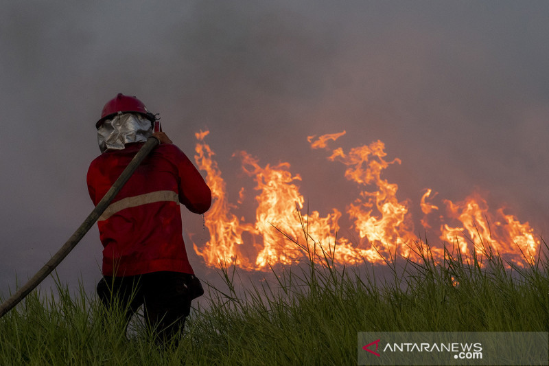 Duh! 353.222 Hektare Hutan dan Lahan Terbakar Sepanjang 2021