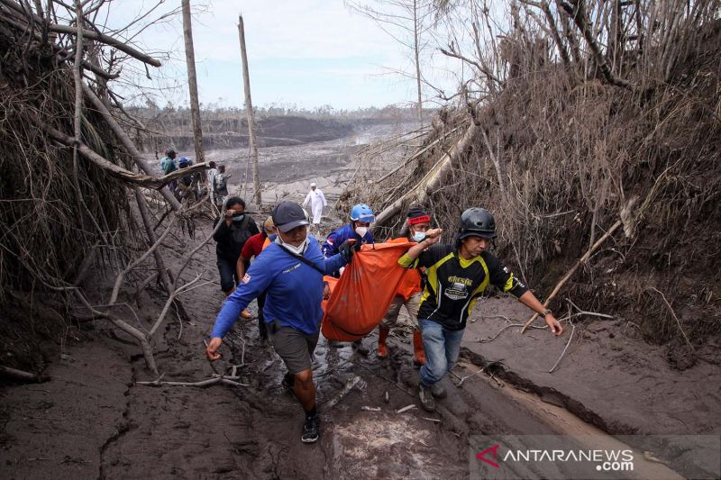 BNPB Catat 8,26 Juta Warga Terdampak Bencana Alam, 654 Orang Meninggal