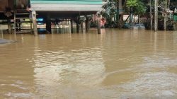 Hujan Lebat, 7 Kecamatan di Pidie Jaya Terendam Banjir