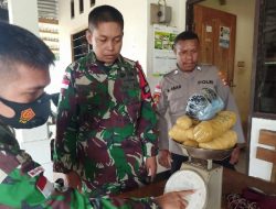 Satgas TNI Pamtas RI-PGN Gagalkan Penyelundupan 1, 5 Kilo Ganja