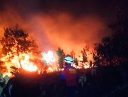 Kebakaran Hutan Terjadi Dua Kali dalam Sepekan di Bintan Timur