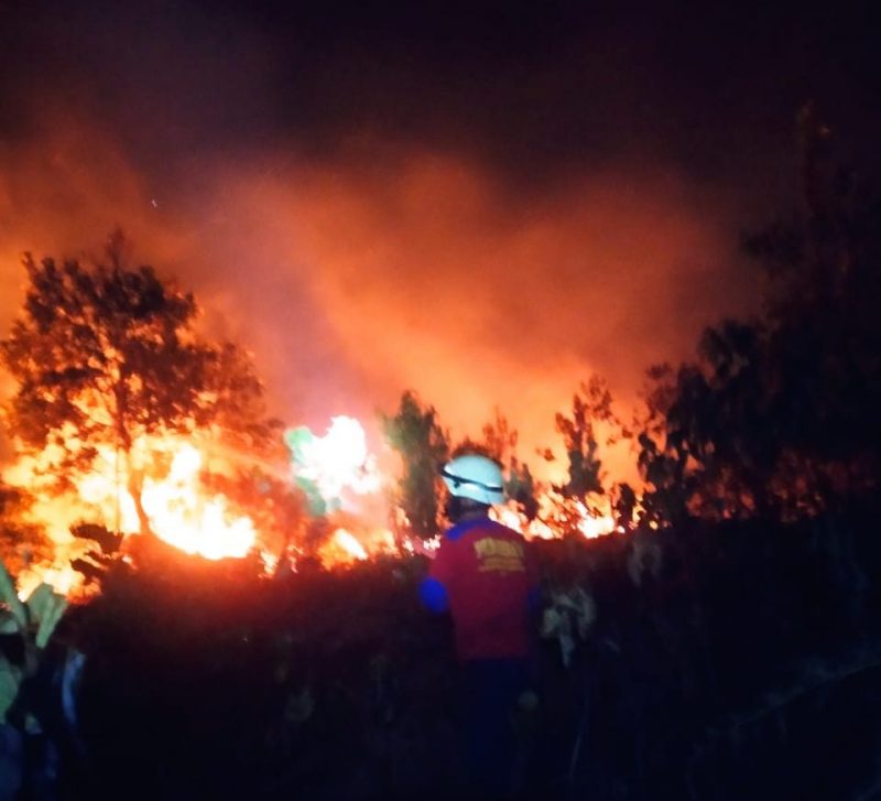 Kebakaran Hutan Terjadi Dua Kali dalam Sepekan di Bintan Timur