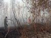 5 Hektare Lahan Kosong di Bintan Terbakar