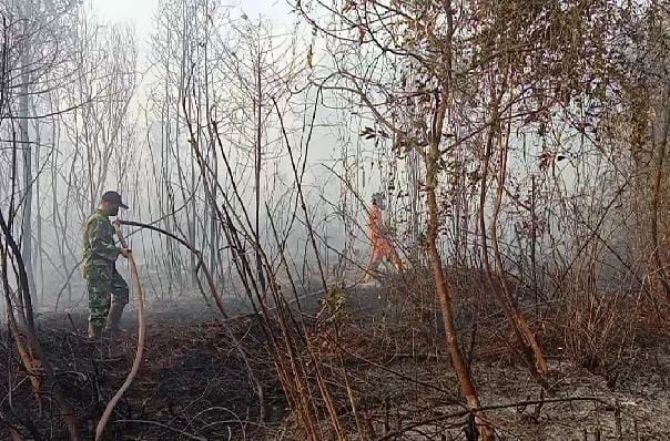 5 Hektare Lahan Kosong di Bintan Terbakar