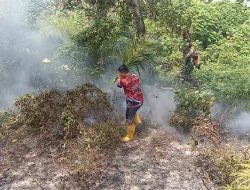 Kebakaran Lahan di Bintan, Babinsa Bersama Warga Padamkan Api Pakai Daun Kelapa
