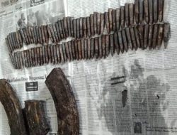 Polisi Selidiki Temuan Peluru dan Magazen AK-47 di Kupang