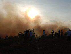 Karhutla Terjadi Lagi di Bintan, Kali Ini Lahan Antam Kolong Enam Terbakar