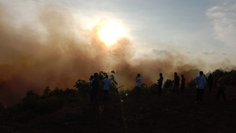 Karhutla Terjadi Lagi di Bintan, Kali Ini Lahan Antam Terbakar