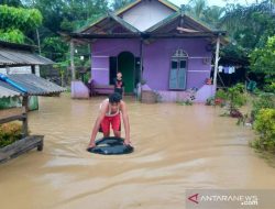 Tujuh RT di Penajam Paser Utara Terendam Banjir