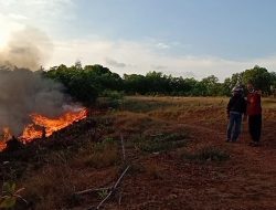 Luas Lahan yang Terbakar di Kecamatan Bintan Timur 7,5 Hektare