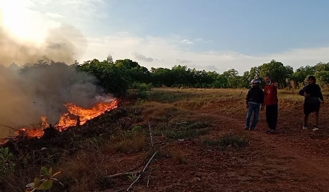 Hutan Terbakar