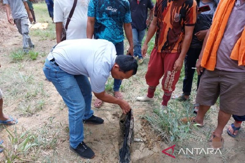 Seorang Warga di Siak Tewas Diinjak Gajah