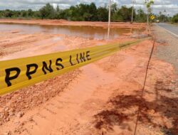 Satpol PP Bintan Segel Lokasi Penimbunan Mangrove di Jalan Lintas Barat
