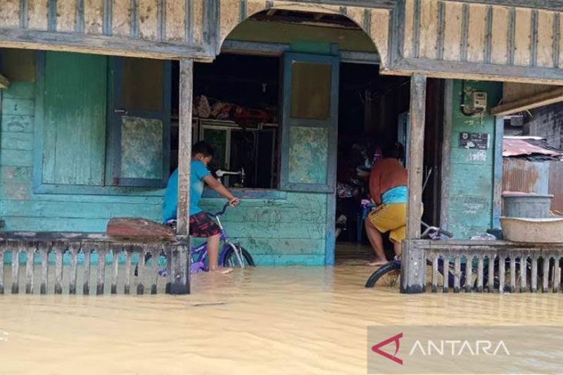 3 Hari Diguyur Hujan, Puluhan Rumah di Gunung Mas Kalteng Banjir