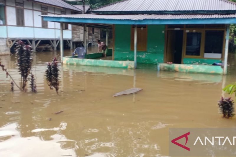 Usai Diguyur Hujan, 1.407 Rumah Warga di Bengkulu Terendam Banjir
