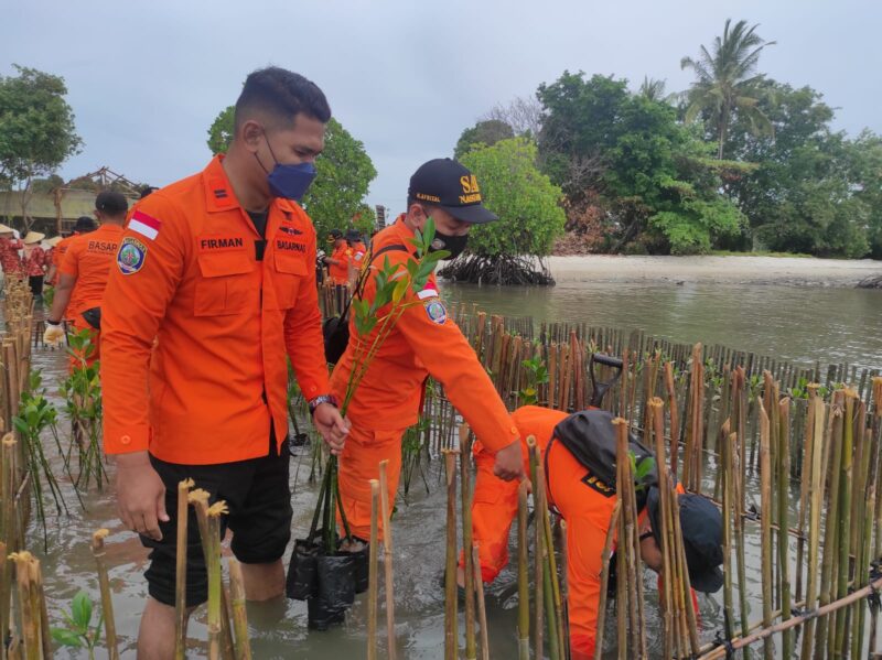 Basarnas Tanjungpinang Tanam 1.000 Bibit Mangrove di Dompak