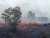 Kebakaran Hanguskan 10 Hektare Lahan di Natuna