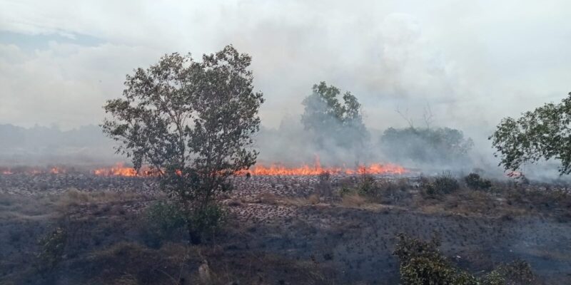 Kebakaran Hanguskan 10 Hektare Lahan di Natuna