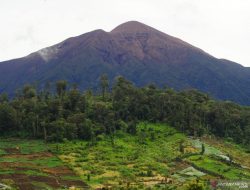 Gunung Api di Indonesia Alami 150 Kali Erupsi Dua Dekade Terakhir