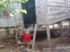 5.988 Anak di Pesisir Selatan Sumatera Barat Putus Sekolah