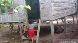 5.988 Anak di Pesisir Selatan Sumatera Barat Putus Sekolah