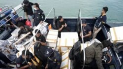 Bea Cukai Gagalkan Penyelundupan Benih Lobster Senilai Rp14 Miliar