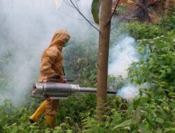 Tempat Kemah Presiden Jokowi di Titik Nol IKN Nusantara Steril dari Malaria