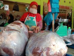Stok Daging Beku di Bintan Capai 46,6 Ton Jelang Ramadan