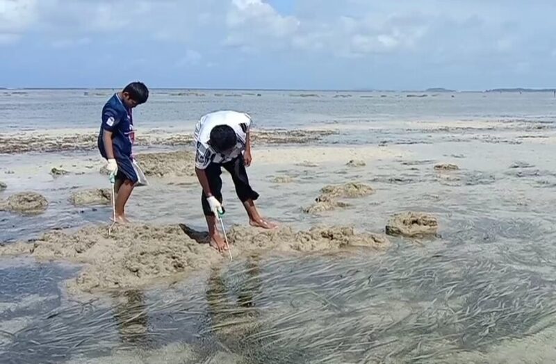 Libur Hari Raya Nyepi 2022, Pengungjung Pantai Trikora Bintan Manfaatkan Waktu Cari Kerang