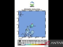 BNBP Peringatkan Potensi Gempa Intensitas Tinggi di Pulau Morotai