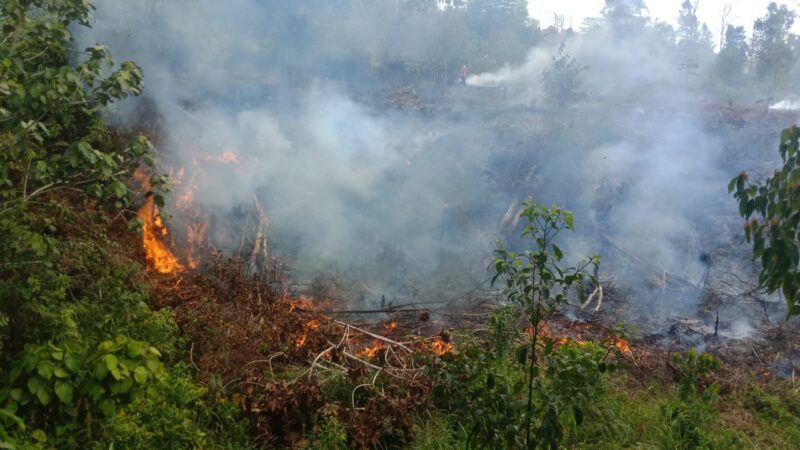 Kebakaran Lahan Terjadi Lagi di Bintan Timur