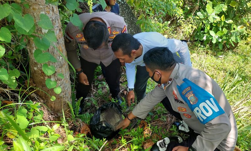 Innalillahi, Bayi Perempuan Ditemukan Tewas Terbungkus Kantong Kresek di Bawah Pohon Kelapa